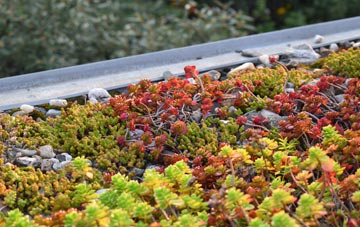 the cost of Chapel Le Dale green roof installation