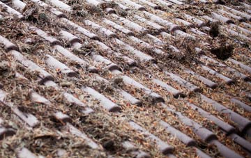 Chapel Le Dale roof cleaning companies