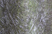 Chapel Le Dale fibreglass roof work